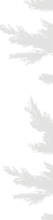 branches texture